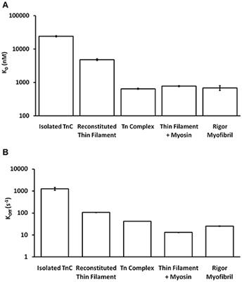 Myofilament Calcium Sensitivity: Consequences of the Effective Concentration of Troponin I